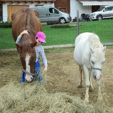 Bauernhof Maso Kofler Rumo