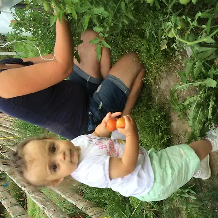 Maso Kofler Alloggio per agriturismo Rumo